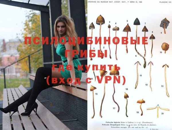 Альфа ПВП Арсеньев