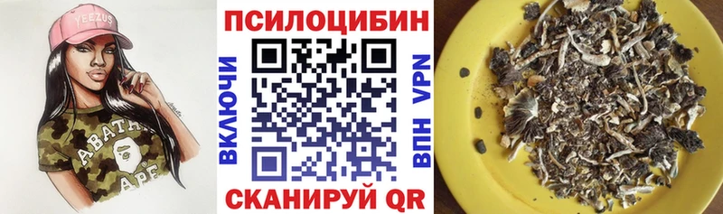 Псилоцибиновые грибы GOLDEN TEACHER  где найти наркотики  blacksprut вход  Старая Русса 